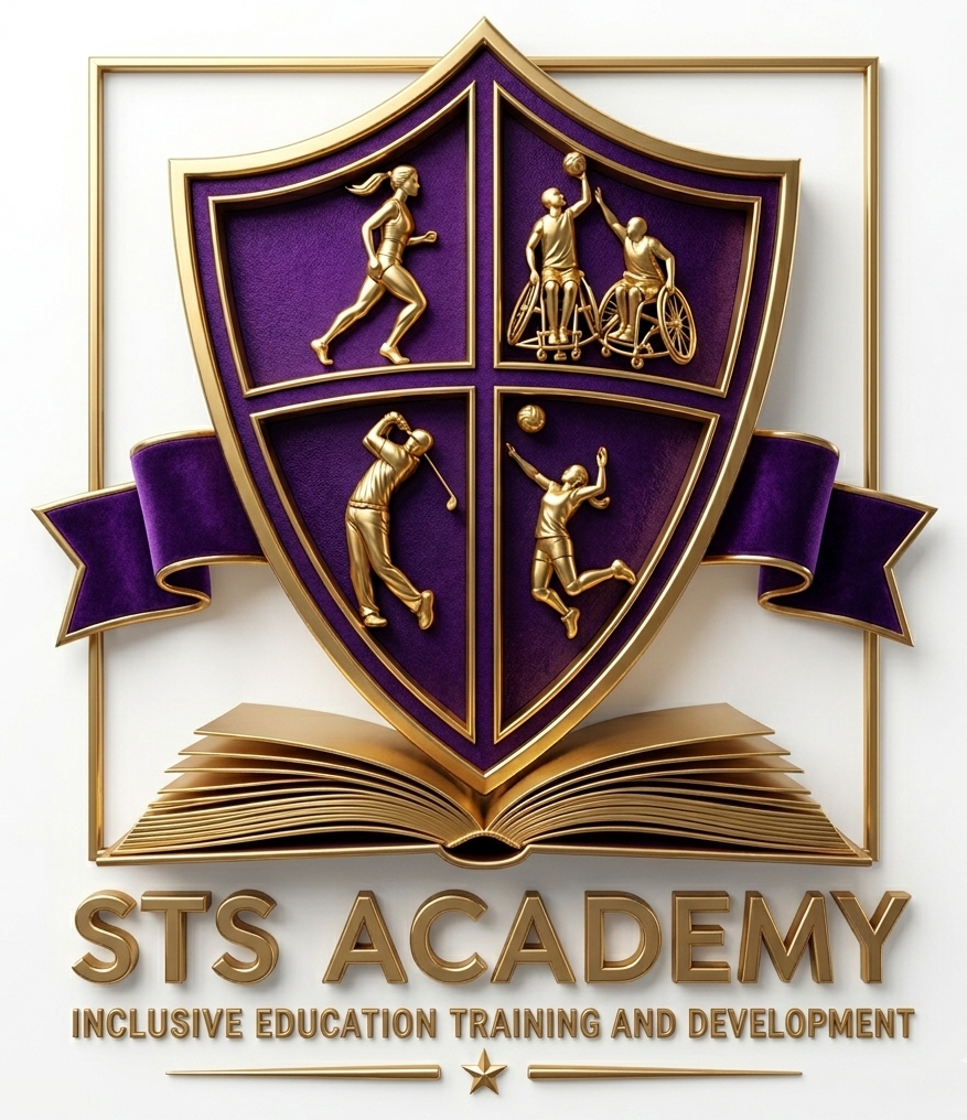 3d logo sts academy